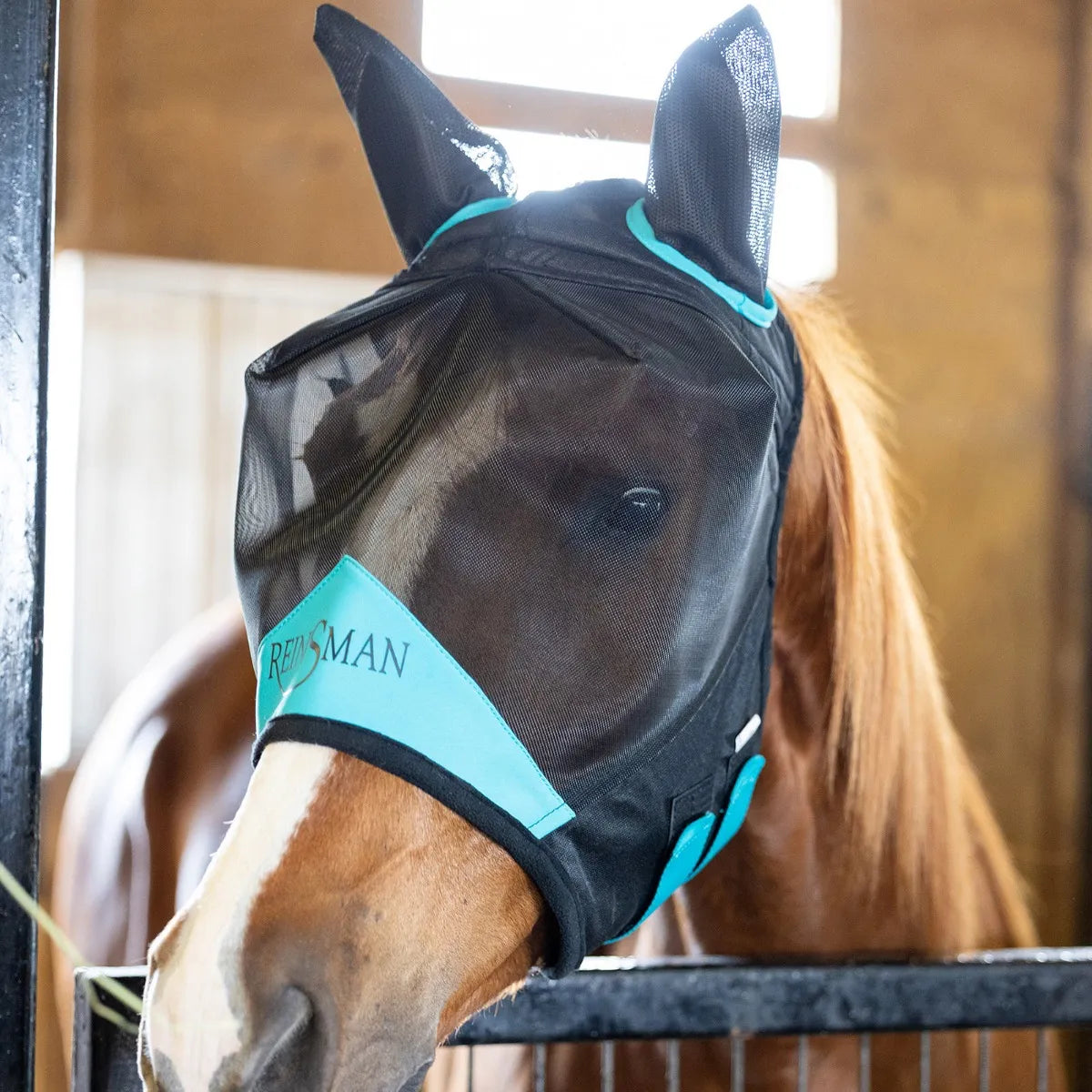 Reinsman Fly Mask With Ears/F102 Classic Men's Pin