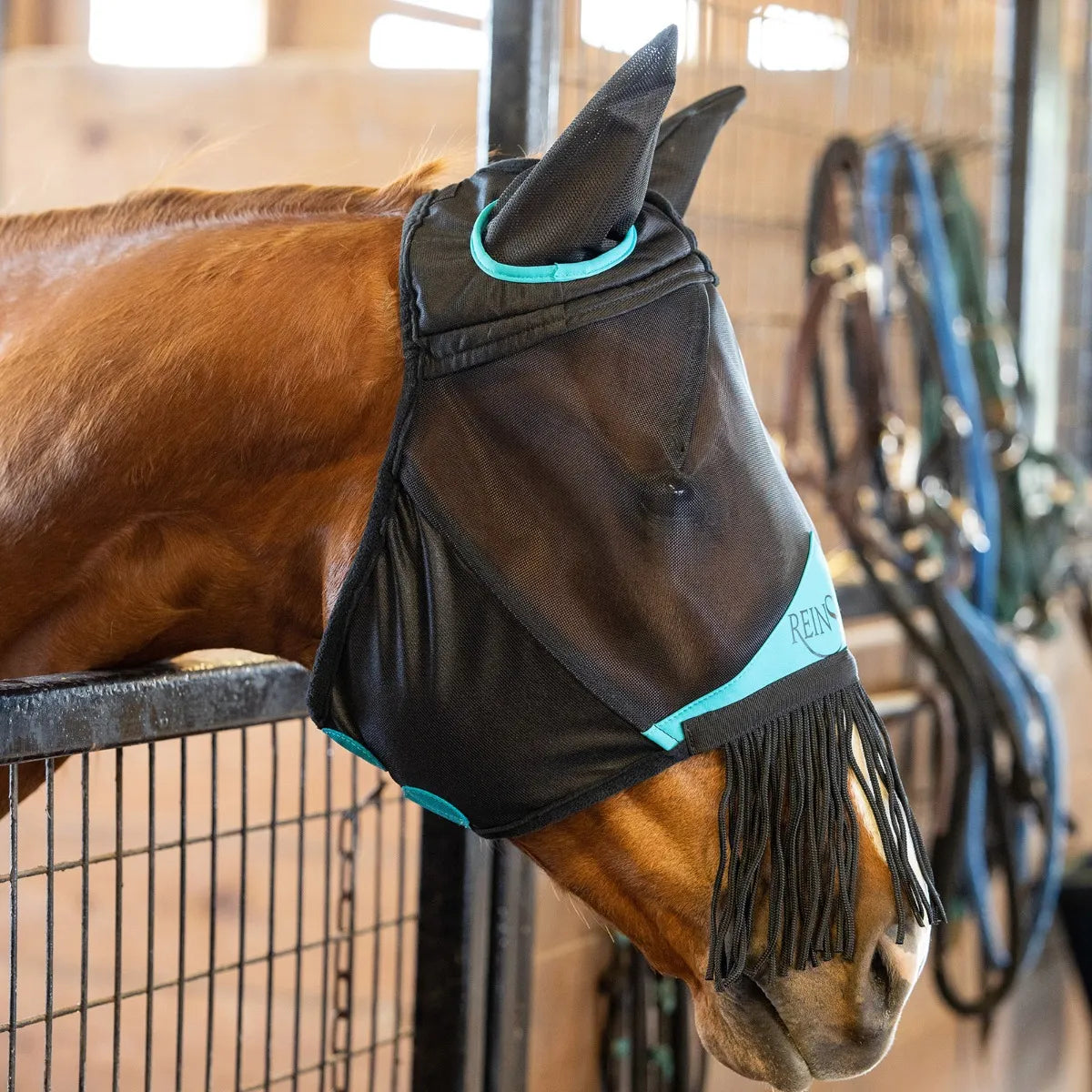 Reinsman Fly Mask with Ears and Tassels/F103 Relaxed Men's Beach